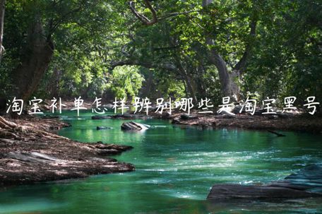 淘寶補(bǔ)單怎樣辨別哪些是淘寶黑號(hào)